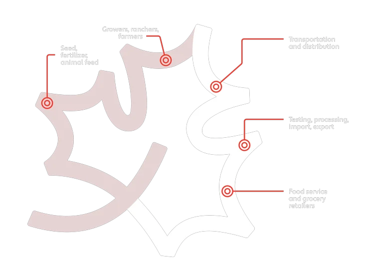 Maple leaf graphic with five food system stages: seed and feed → farmers → transportation → processing → grocery retailers.