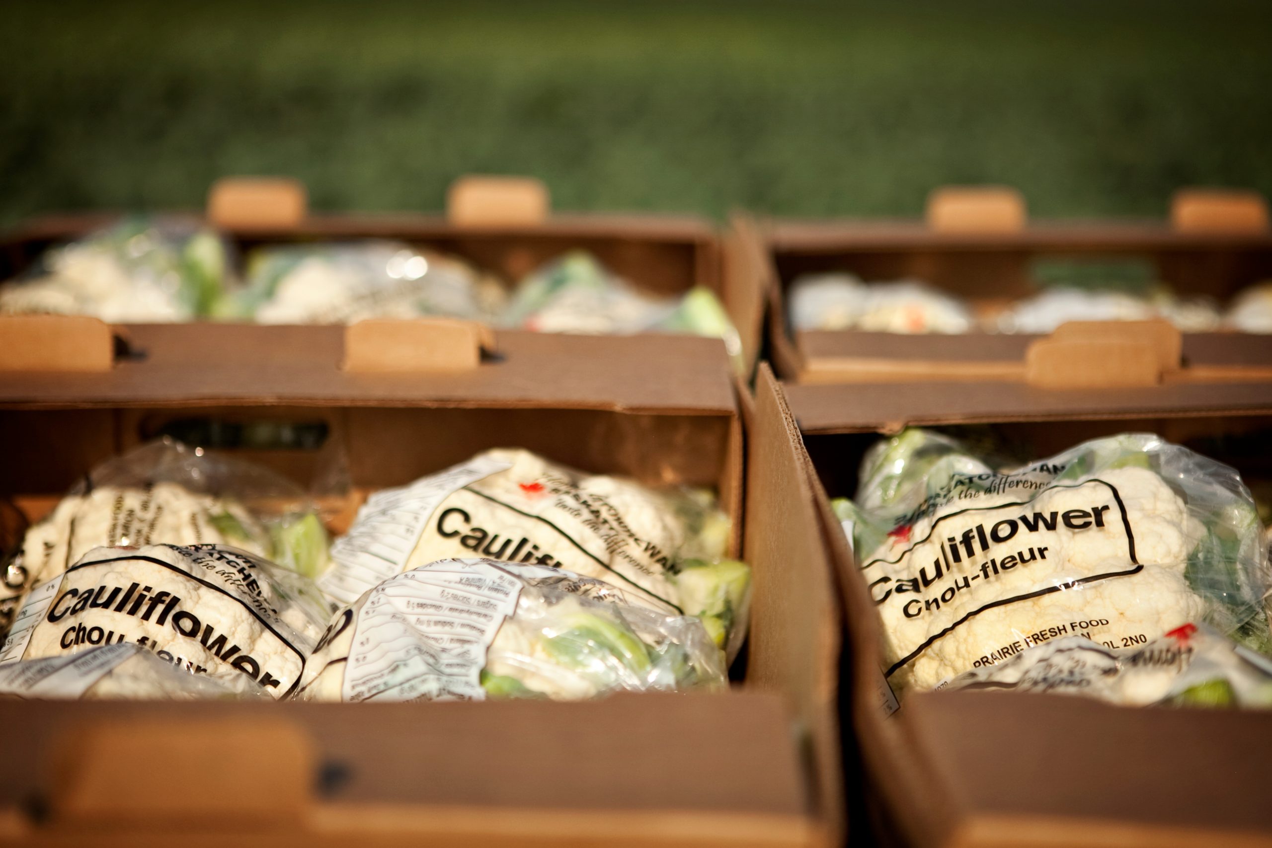 Bags of cauliflower in a grocery display