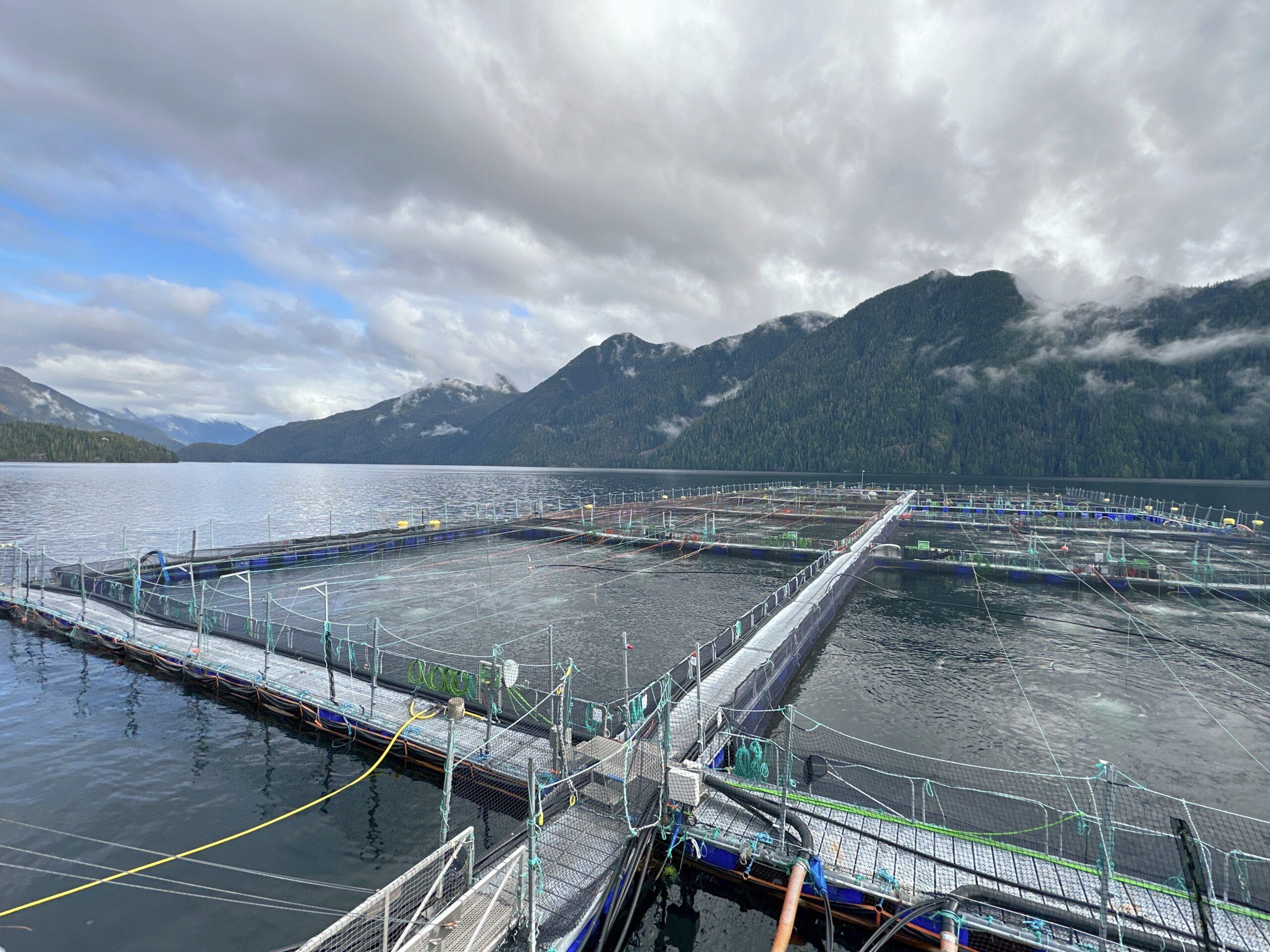 Canada Salmon Farm