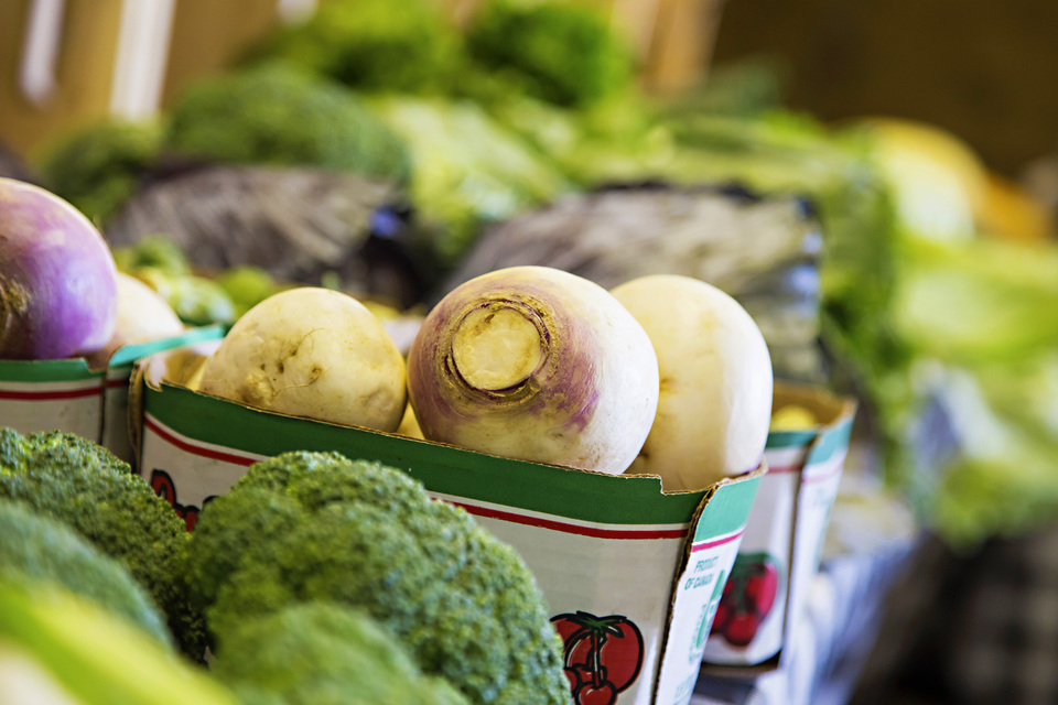 Grocery Stores And Retailers