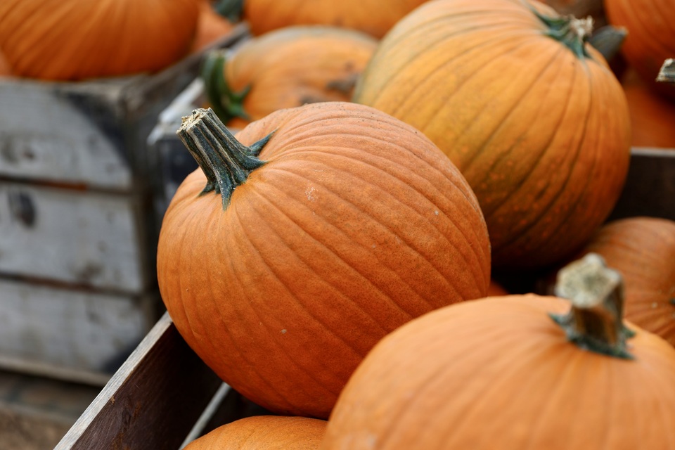 Seasonal Availability