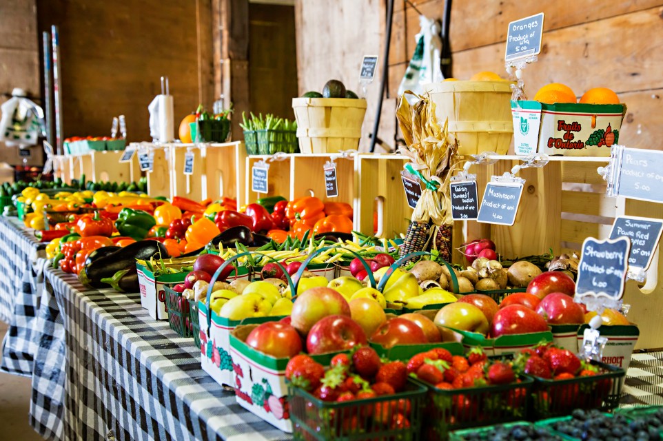 Traceability