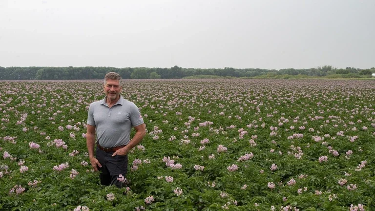 Canadas Food System No Small Potatoes America Needs Canadian Farmers