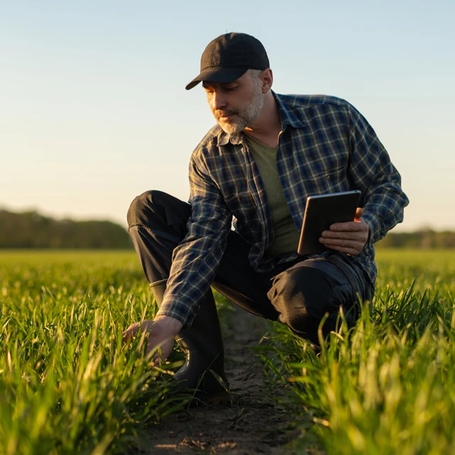 Crop Protection