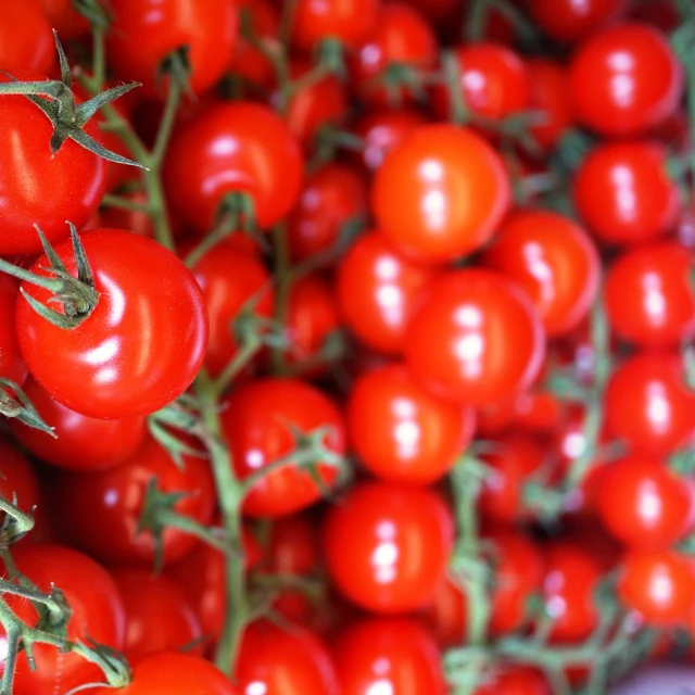Food Imports