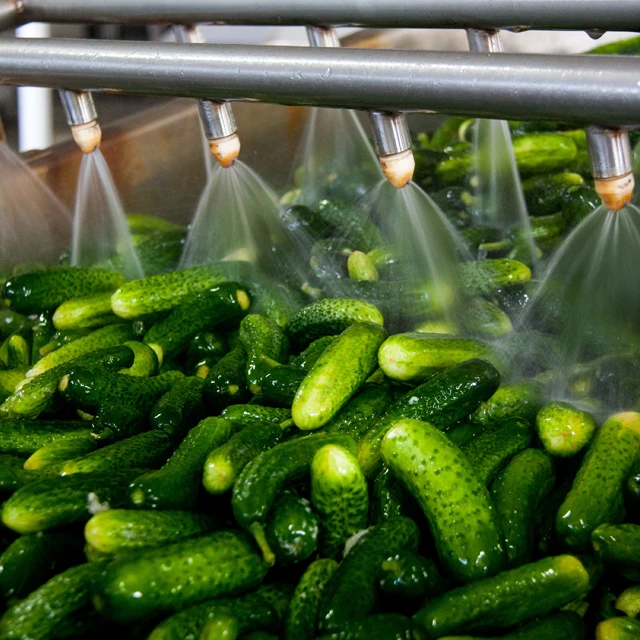 Food Processing