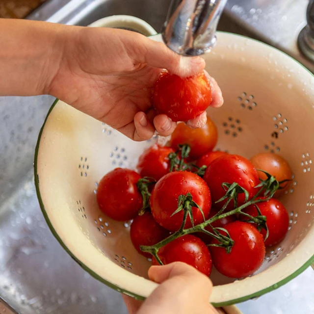 Food Safety