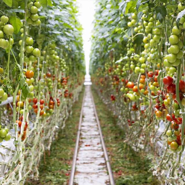Food Security